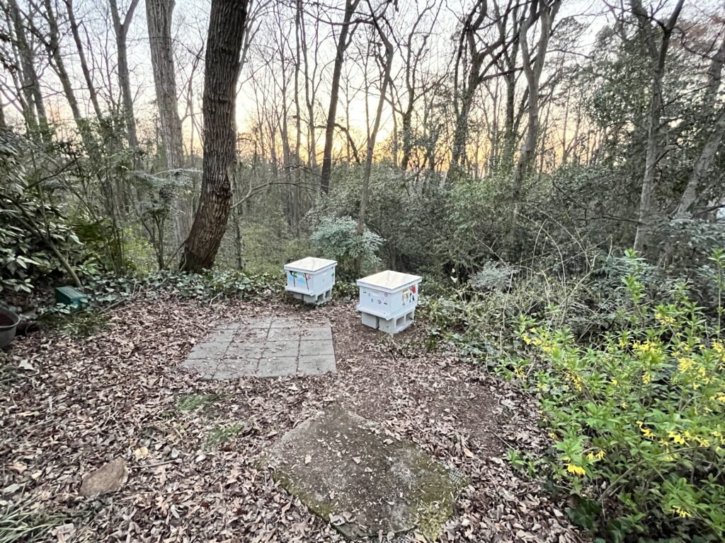 Hives in position