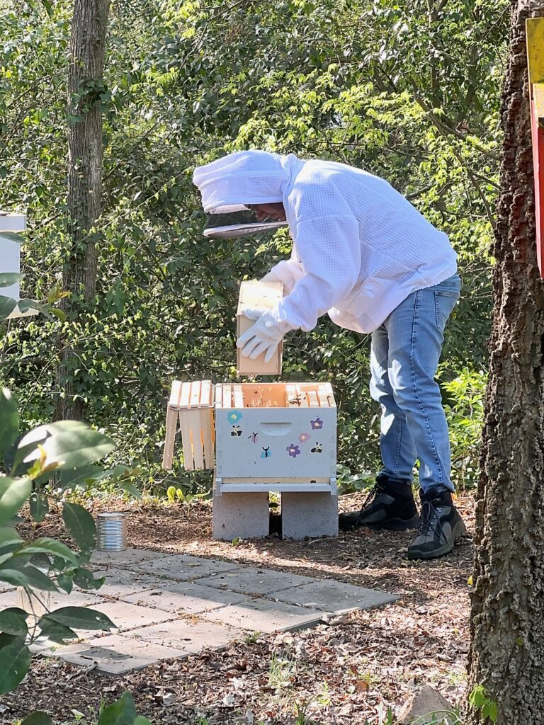 Adding bees to the first hive